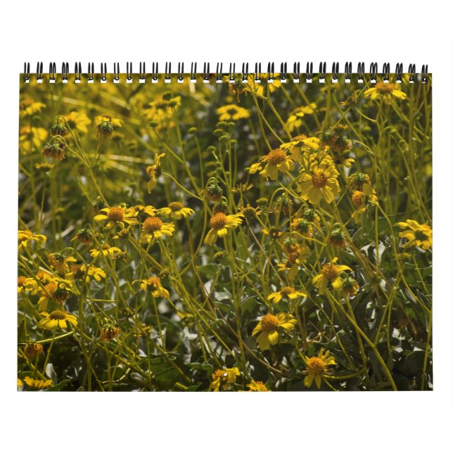 2013 Wildflower Scripture Calendar (Cover)