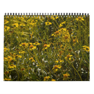 2013 Wildflower Scripture Calendar