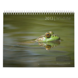 2013 WILDLIFE CALENDAR BY MAYES   PHOTOS