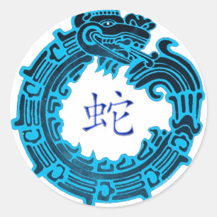 2013 Year of The Water Snake Classic Round Sticker
