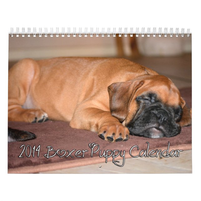 2014 Boxer Puppy Calendar (Cover)