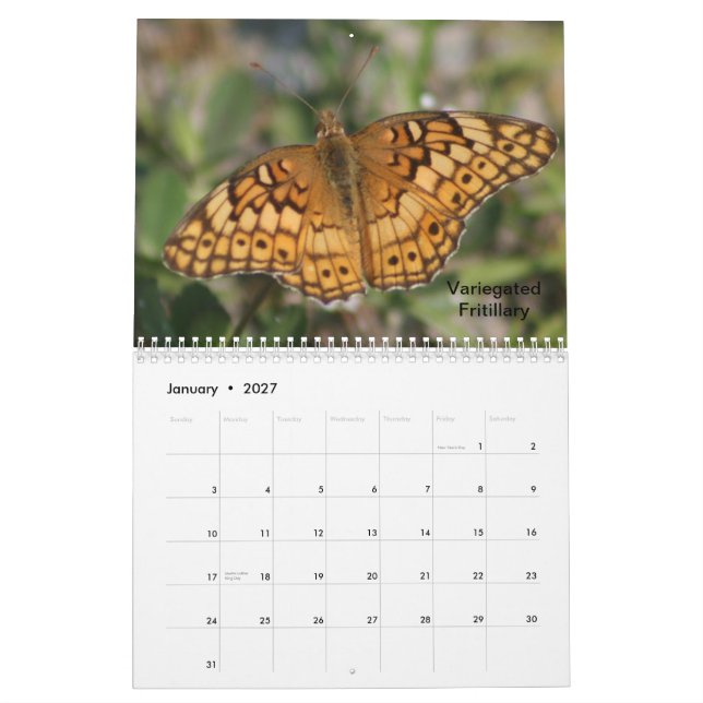 2014 Butterfly Calendar (Jan 2027)