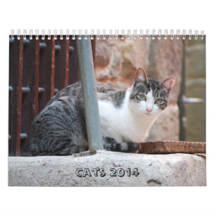 2014 Cat Calendar
