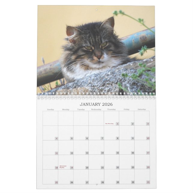 2014 Cat Calendar (Jan 2026)