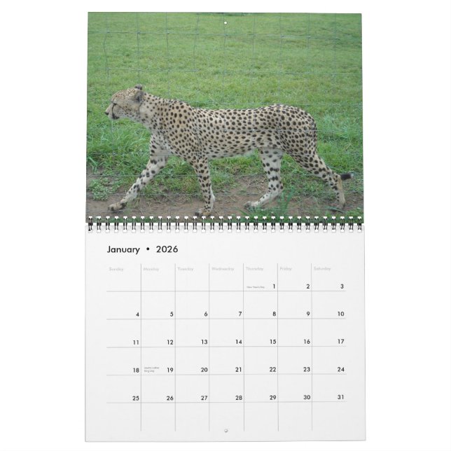 2014 Cheetah Calendar (Jan 2026)