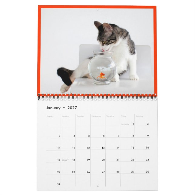 2014 Corky The Cradle Cat Calendar (Jan 2027)