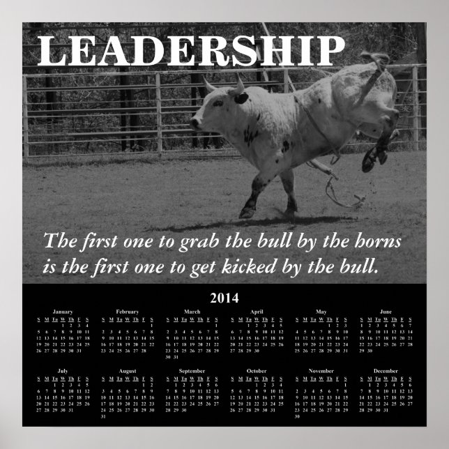 2014 Demotivational Calendar Leadership Poster (Front)