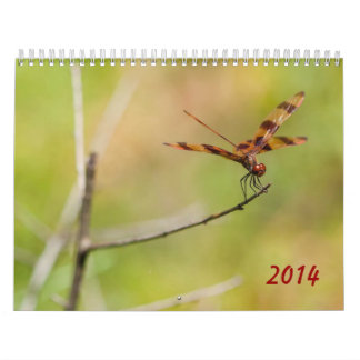 2014 Dragonfly and Damselfly Calendar