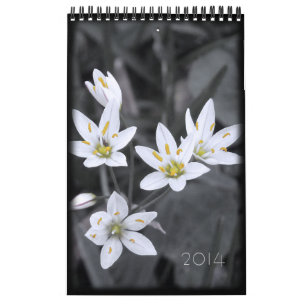 2014 Floral Calendar 12 single page months
