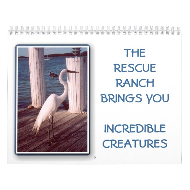 2014 Incredible Creature Calender Calendar (Cover)