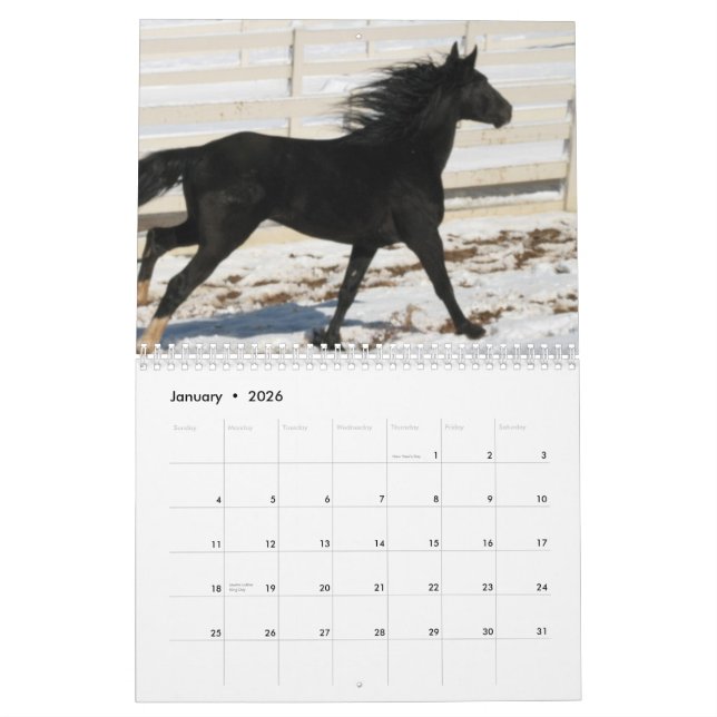 2014 Mountain Horse Calendar (Jan 2026)