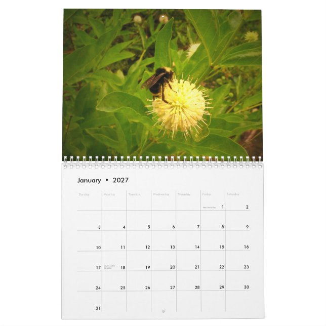 2014 My Garden Calendar (Jan 2027)