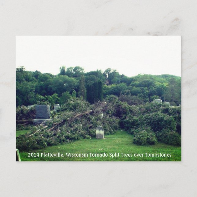 2014 Platteville, Tornadoes Memorabilia Postcard (Front)