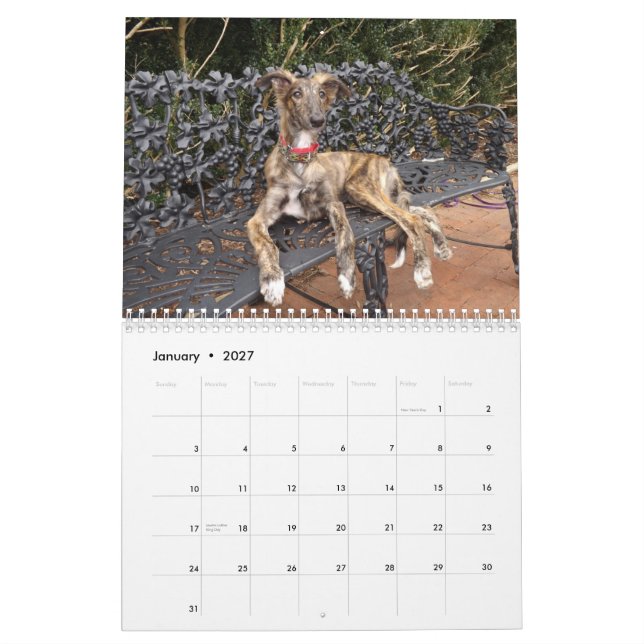 2014 Silken Windhound Puppies 2-4 Calendar (Jan 2027)