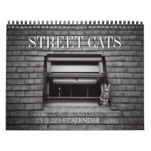 2014 Street Cats Photography Calendar