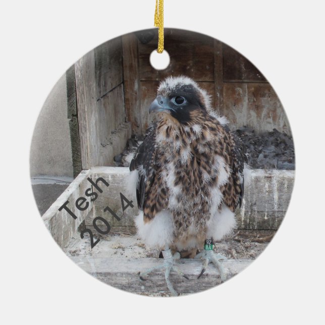 2014 Tesh Ornament (Back)