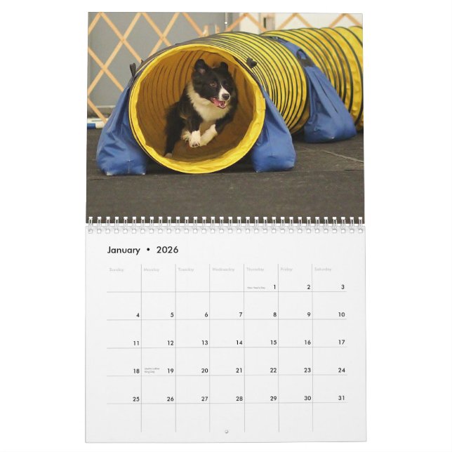 2015 Border Collie Agility Calendar (Jan 2026)