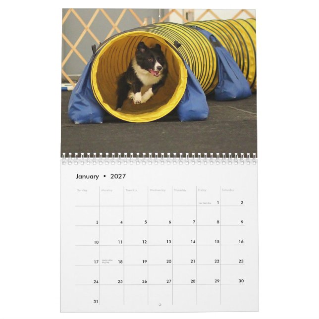 2015 Border Collie Agility Calendar (Jan 2027)