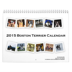 2015 Boston Terrier Calendar