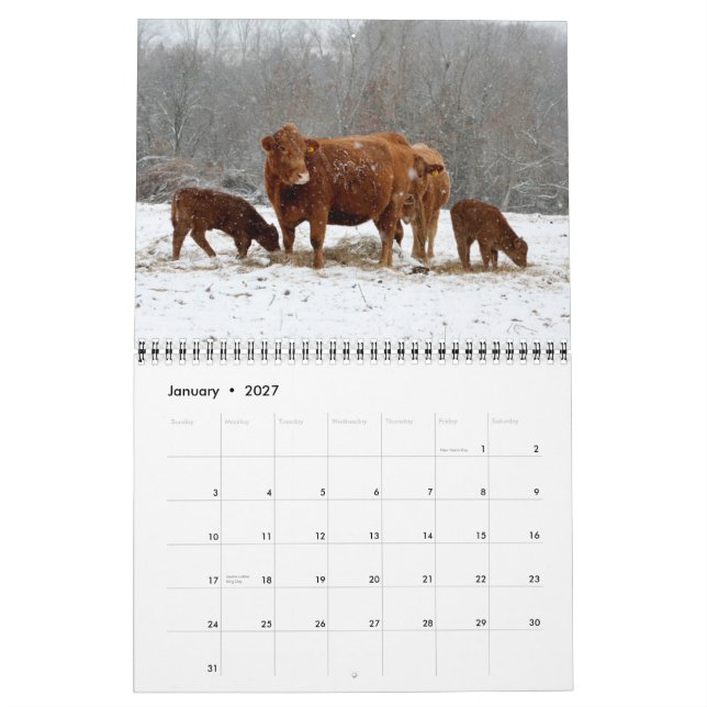 2015 Calendar Cows (Jan 2027)