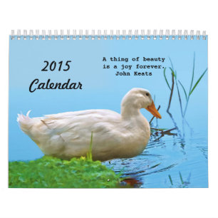 2015 Calendar of Beautiful Things