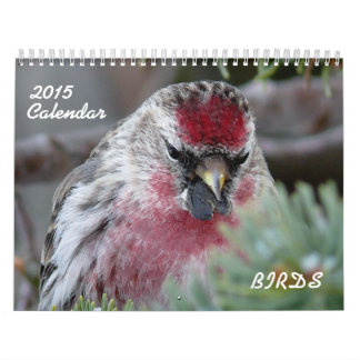 2015 Calendar of small birds