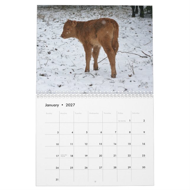 2015 Calves Calendar (Jan 2027)