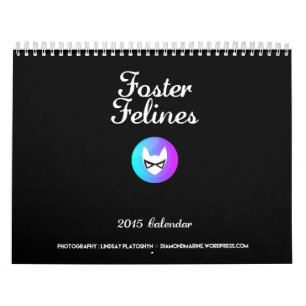 2015 Foster Felines calendar