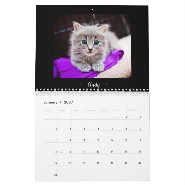 2015 Foster Felines calendar (Jan 2027)
