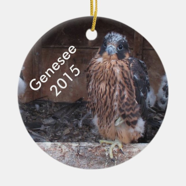 2015 Genesee Ornament (Front)
