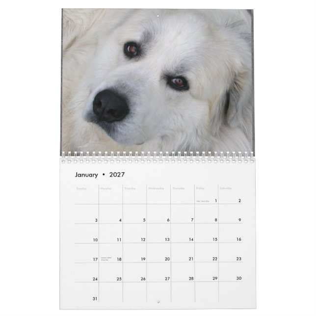 2015 Great Pyrenees Calendar (Jan 2027)