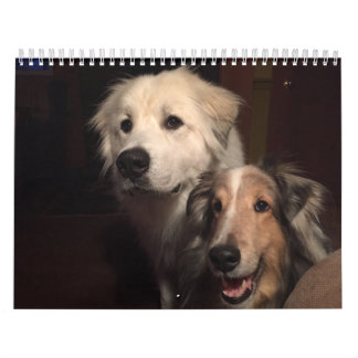 2015 Great Pyrenees Calendar