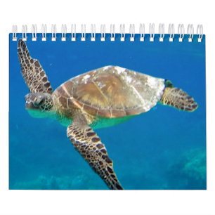 2015 Hawaii Turtles Calendar