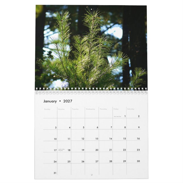 2015 life around us Calendar (Jan 2027)