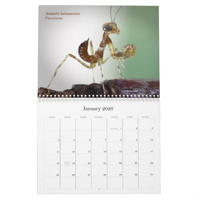 2015 Mantidforum.net Wall Calendar (Jan 2026)