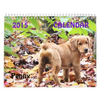 2015 Penny Calendar