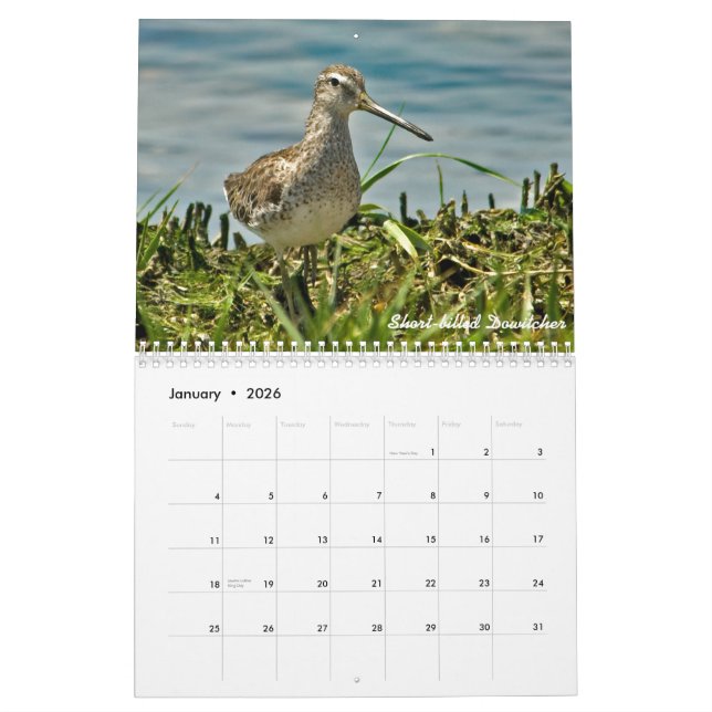 2015 Shorebirds Calendar (Jan 2026)