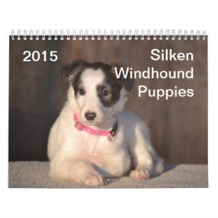 2015 Silken Windhound Puppies Calendar