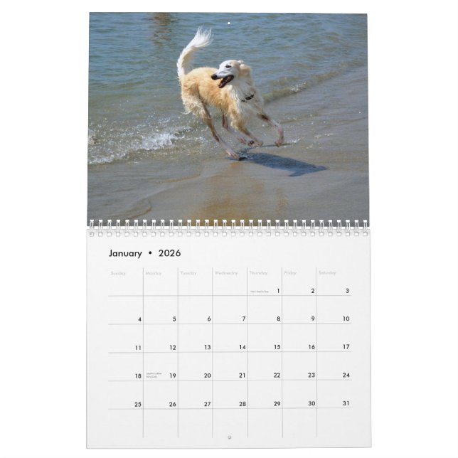 2015 Silken Windhounds in Action Calendar (Jan 2026)
