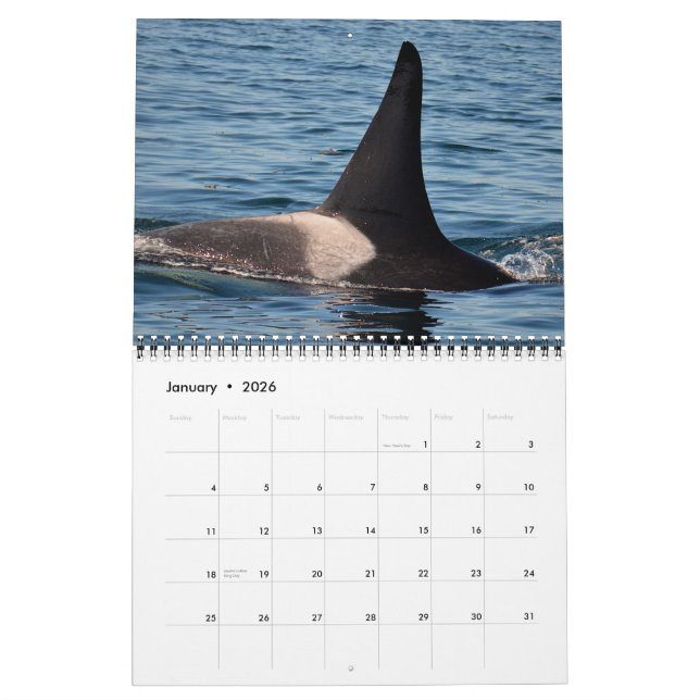 2015 Southern Resident Killer Whale Calendar (Jan 2026)