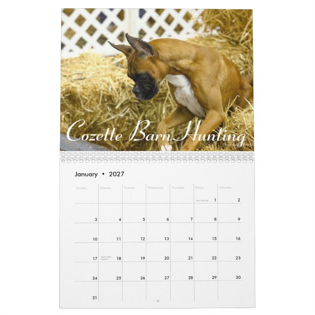 2015 Special Edition Boxer Performance Calendar (Jan 2027)