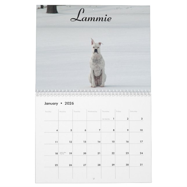 2015 White Boxer Calendar (Jan 2026)