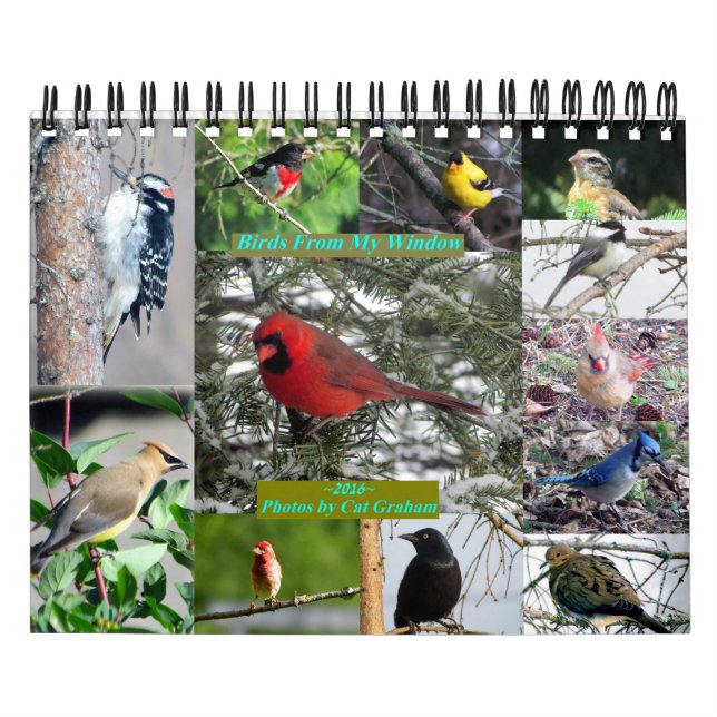 2016 Bird Calendar From My Window (Cover)