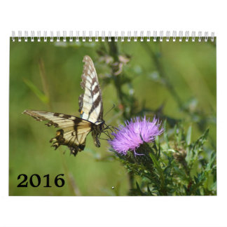 2016 calendar, butterflies and blooms calendar