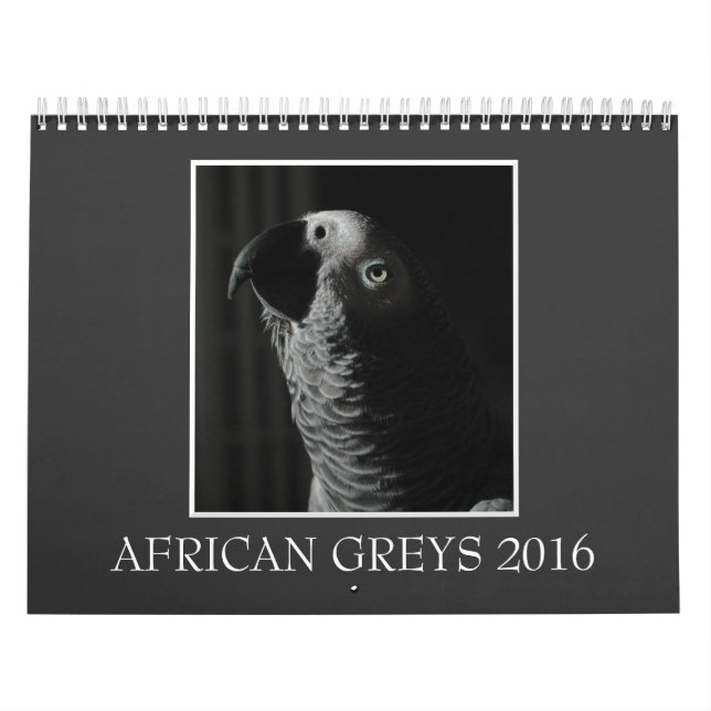 2016 Congo African Grey Parrot Calendar (Cover)