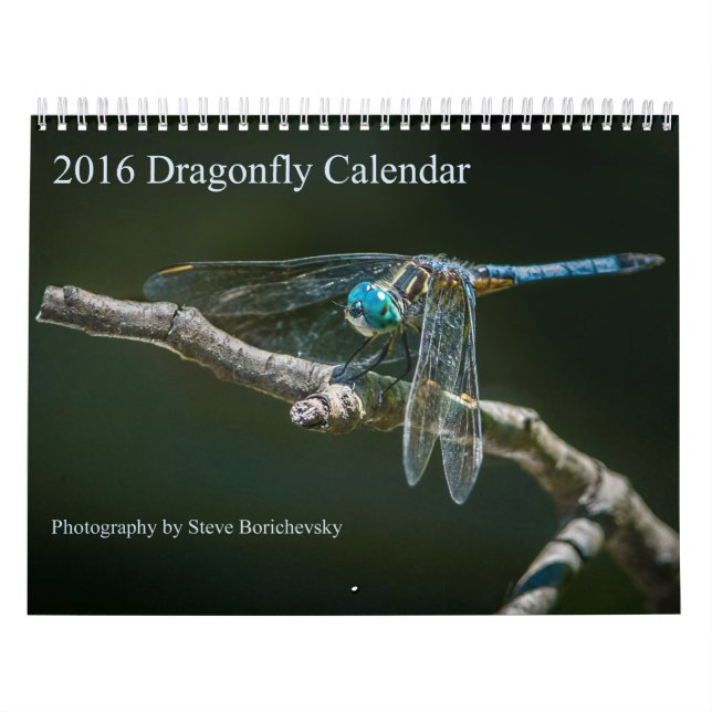 2016 Dragonfly Calendar by Steve Borichevsky (Cover)