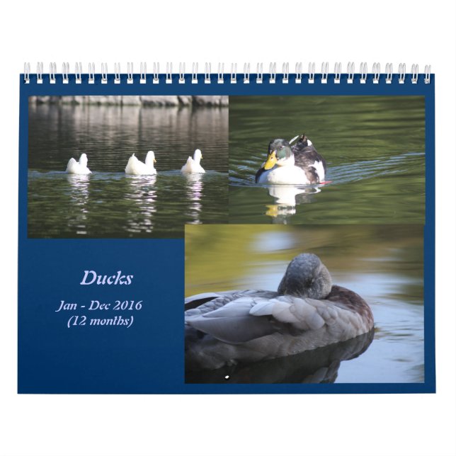 2016 Ducks Calendar (Cover)