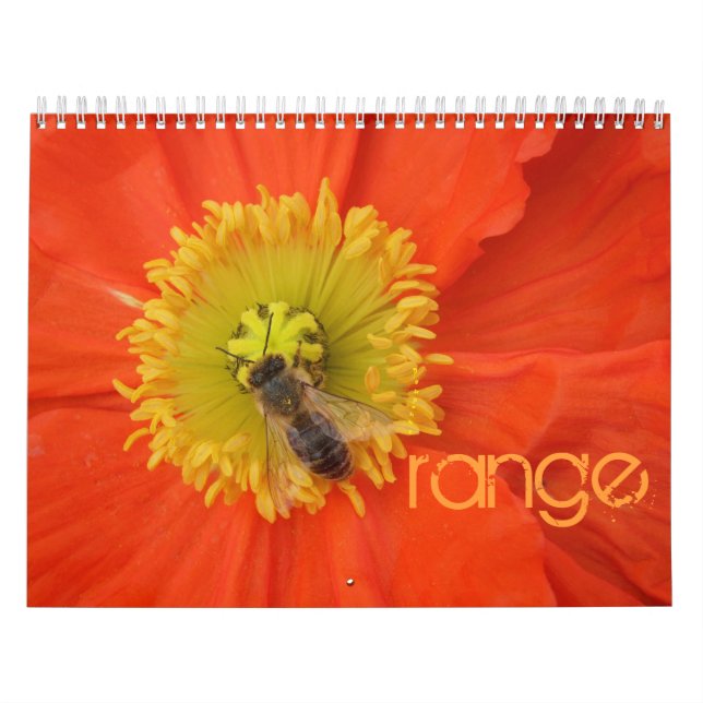 2016 in colours - calendar (Cover)