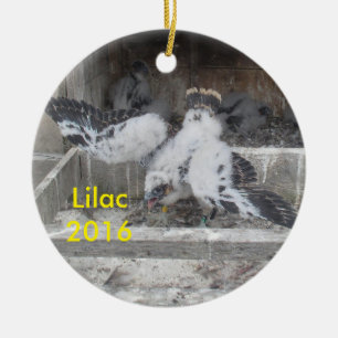 2016 Lilac Ornament