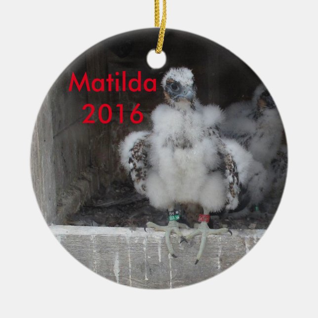 2016 Matilda Ornament (Front)